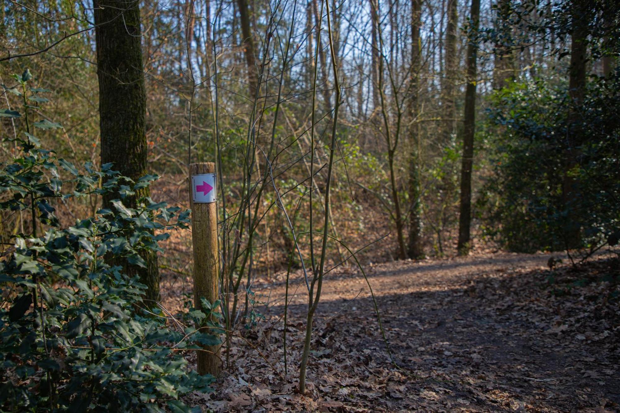 Schaufeli * Apeldoorn