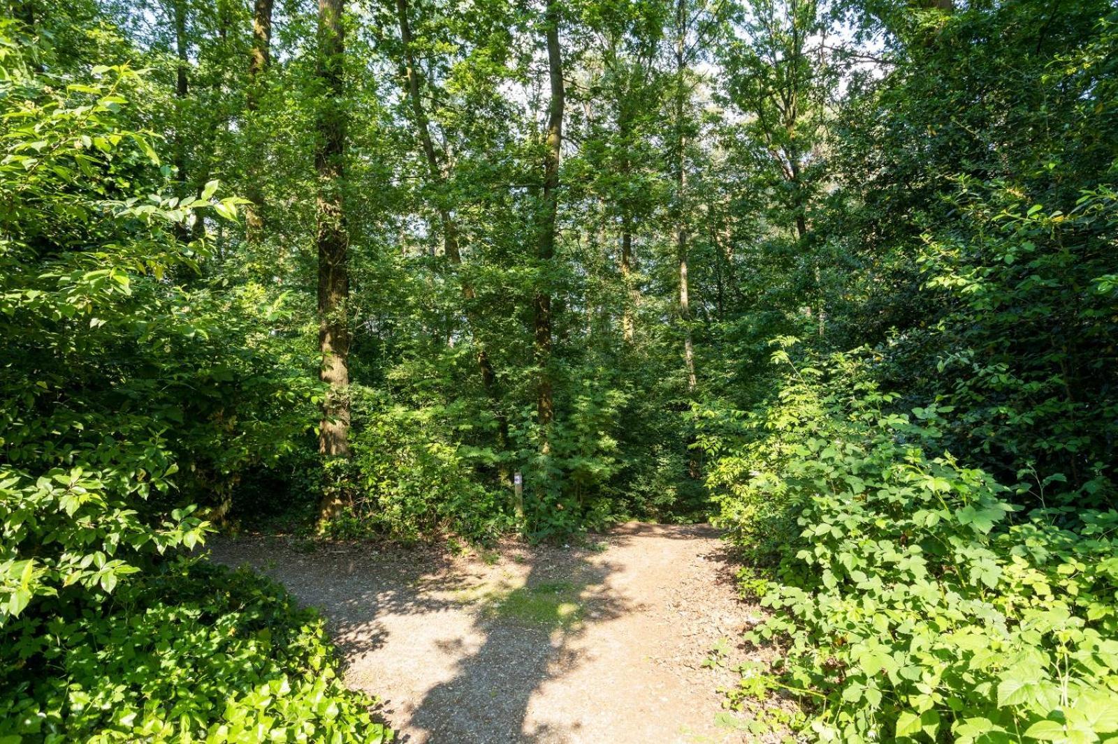 Schaufeli Bed & Breakfast Apeldoorn